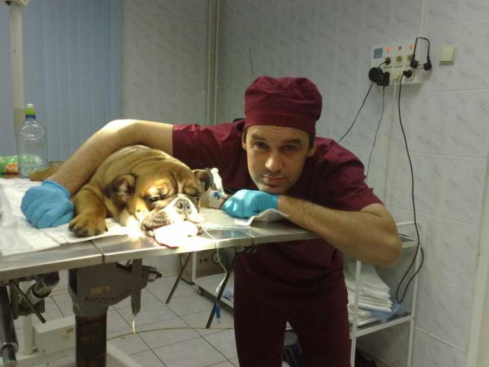  государственные ветеринарные клиники москвы цао