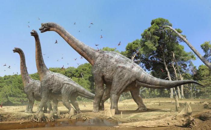 динозавр с длинной шеей