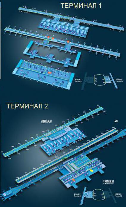 Схема аэропорта шанхай