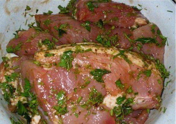 рецепты шашлыка из свинины по грузински