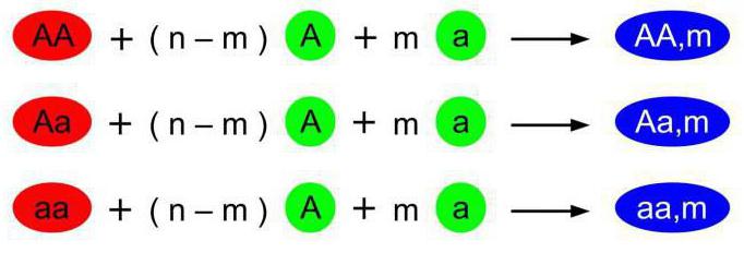 what is genotype 3a