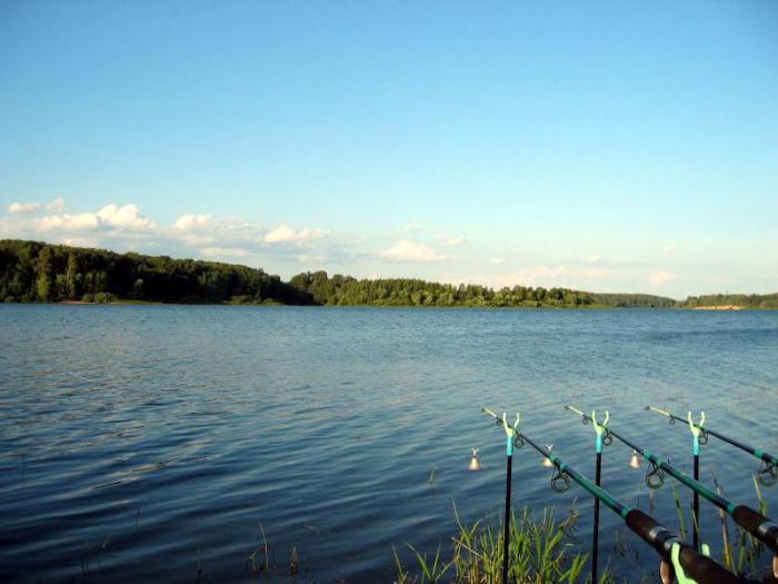 рыбалка на рузском водохранилище 