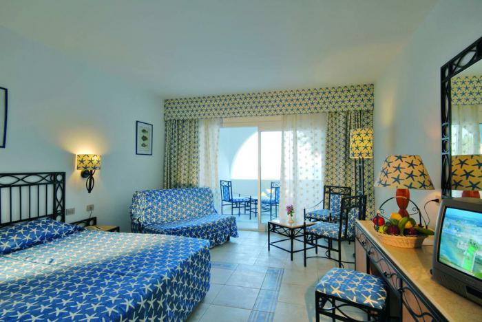 domina coral bay aquamarine pool 5 sharmelsheikh отзывы