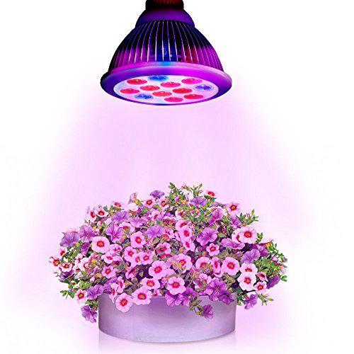 led plant lamp reviews