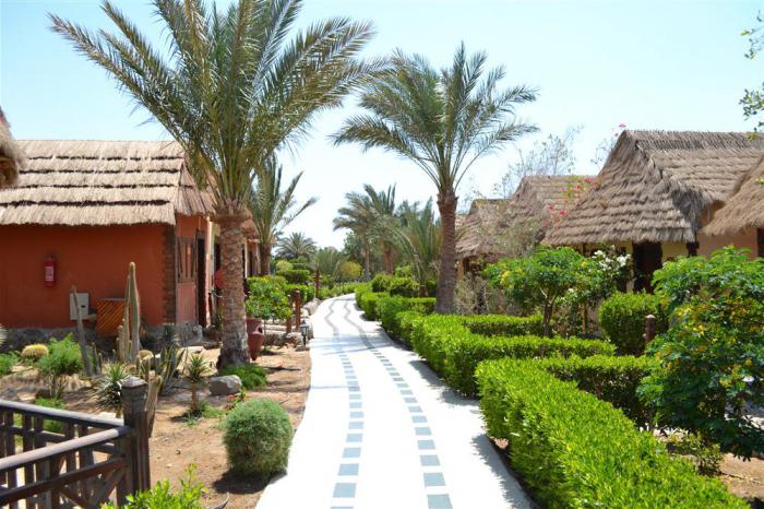 Panorama Bungalows Resort el Gouna 4 Р•РіРёРїРµС‚