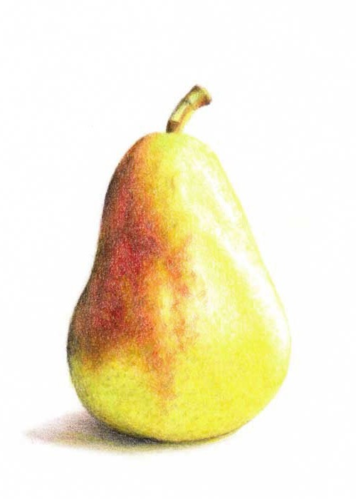 how to draw a pear