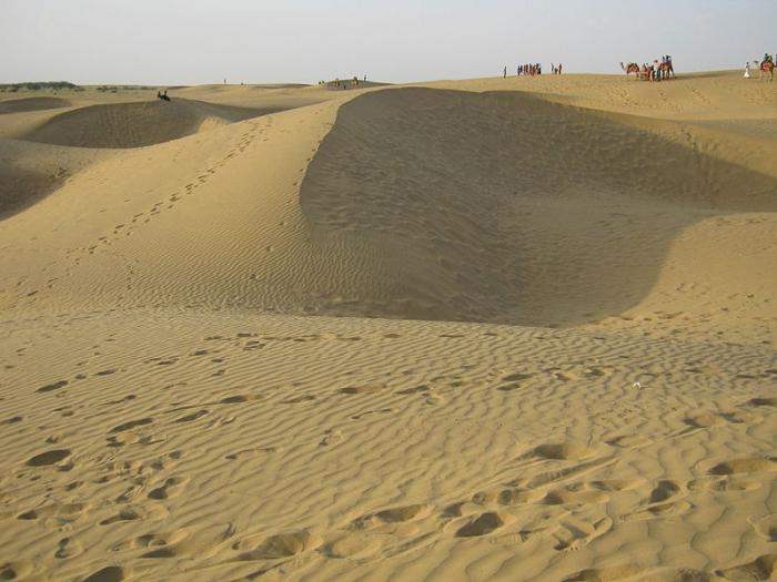песок сонник