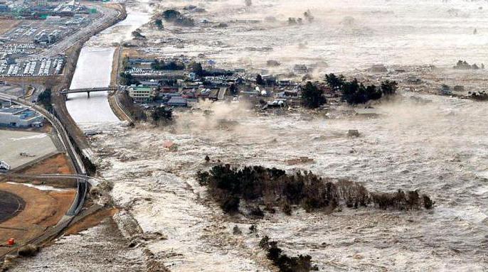 цунами в японии 2011