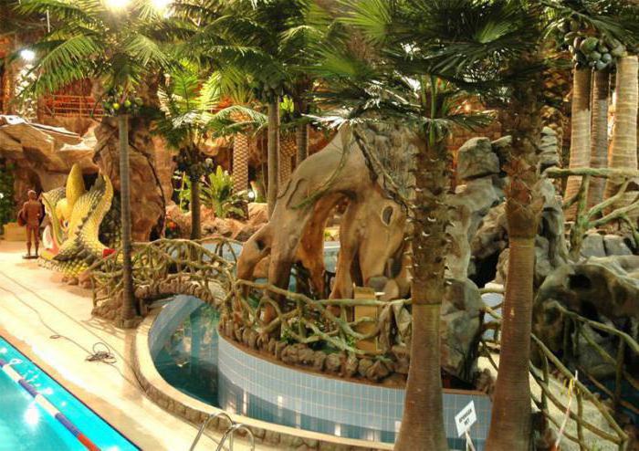 water park jungle photo