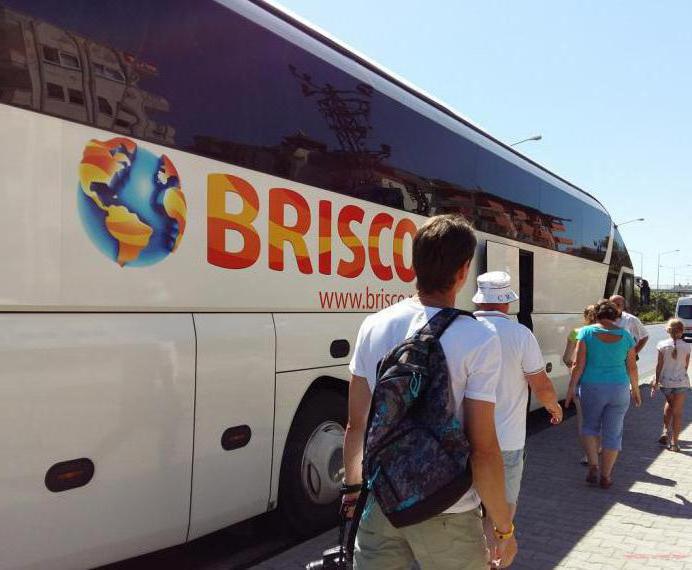 brisco tour operator rating