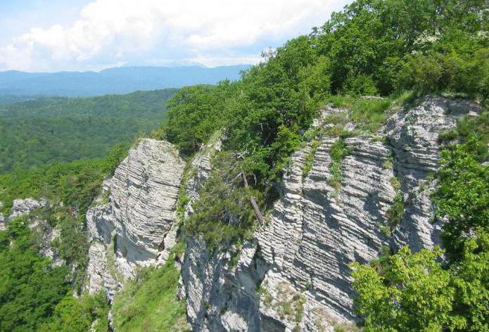 Орлиные скалы сочи фото