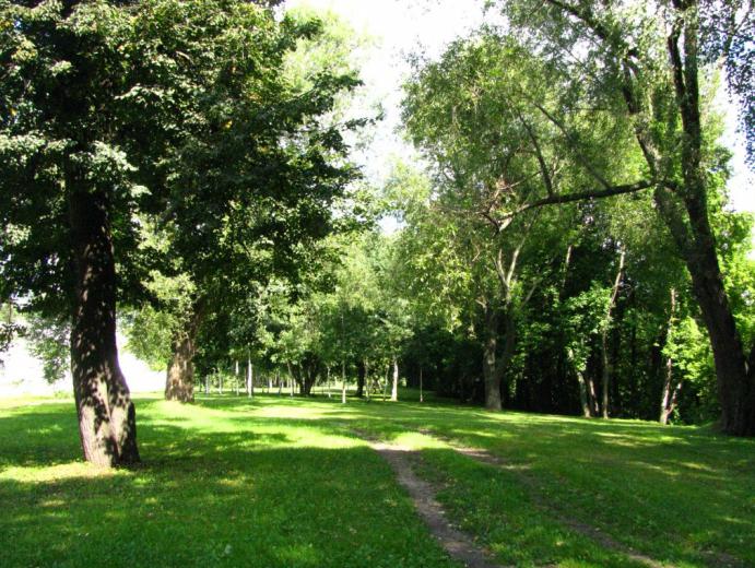 Izmailovsky park square