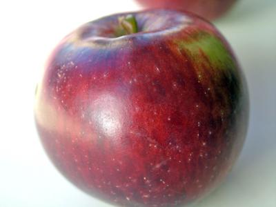 Spartan apple variety photo