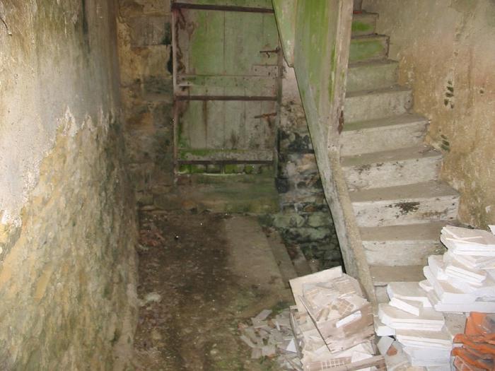 cellar in the garage