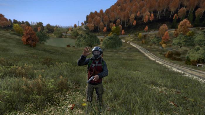 как играть в dayz