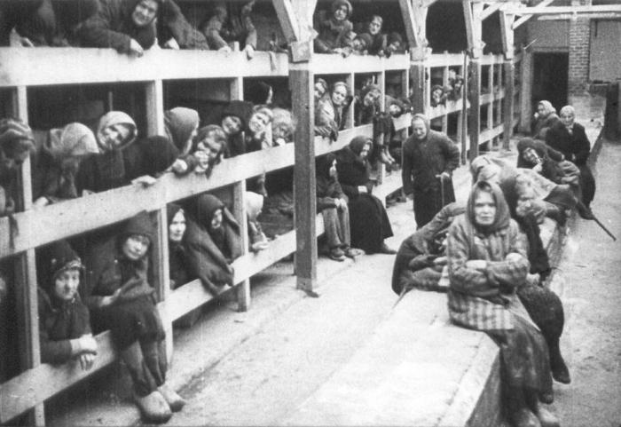 концентрационный лагерь освенцим