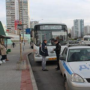 автобус звенигород москва