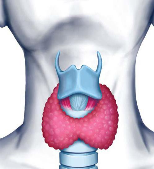 the norm of antibodies to ttv in women causes