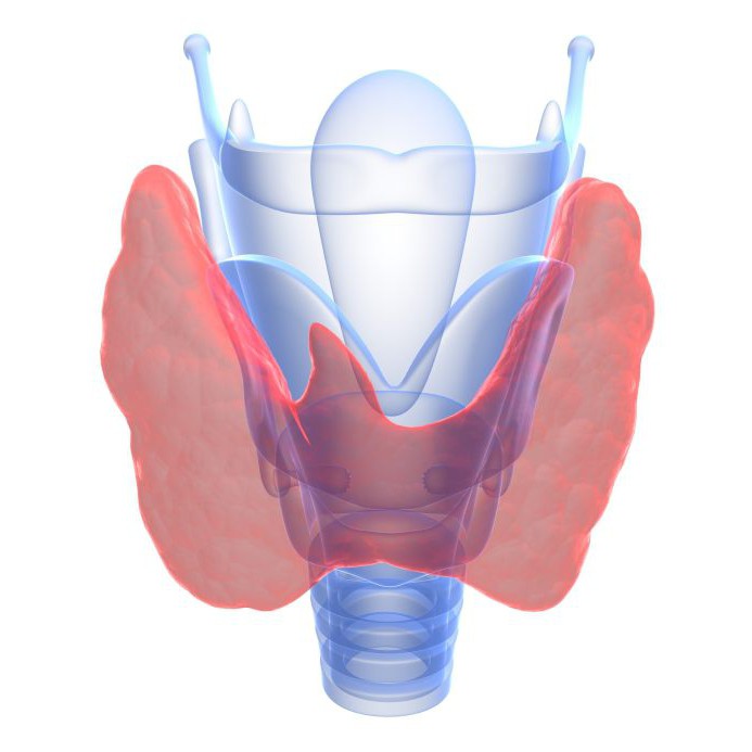 the norm of antibodies to TVT in women