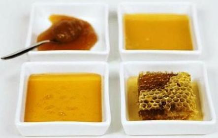 разновидности меда и их свойства