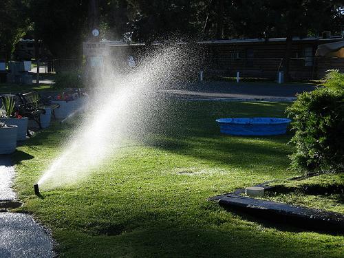 садовый распылитель воды