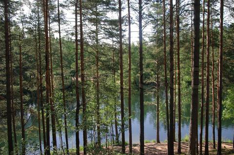 отдых на озерах ленинградской области