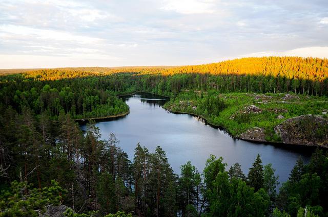 Липовское озеро в ленинградской области фото
