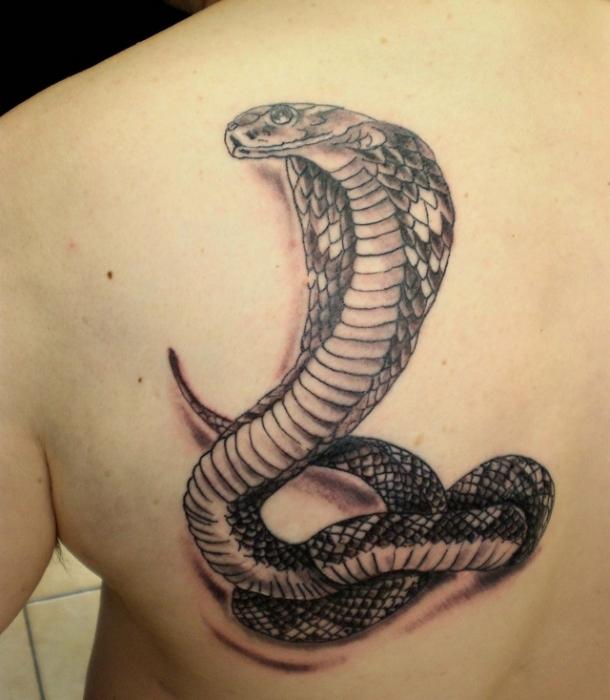 snake tattoo meaning