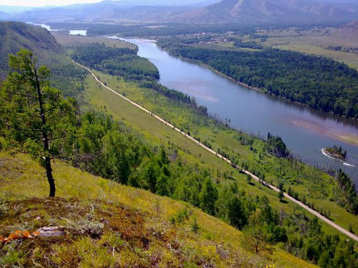 в какое море впадает река енисей