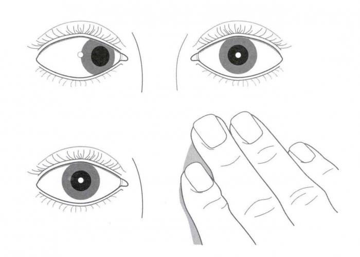 глаза зрение