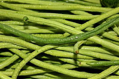 winter asparagus beans