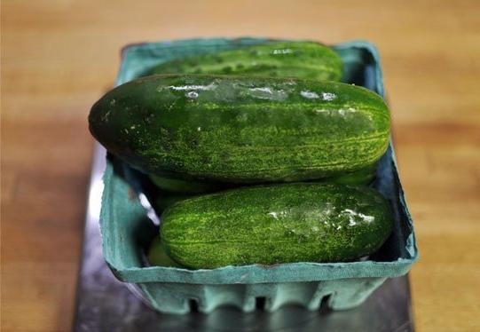 how to keep fresh cucumbers longer