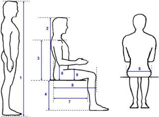 как нарисовать сидящего человека боком 