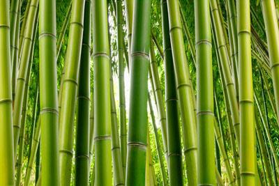 bamboo style одеяло