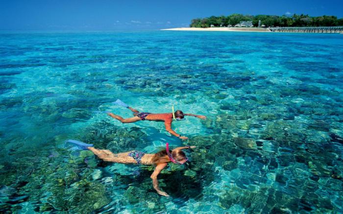 snorkeling fins