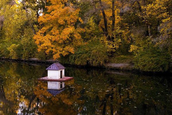 Putyaevsky pond in Sokolniki