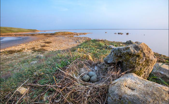 Кояшское соленое озеро в Крыму 