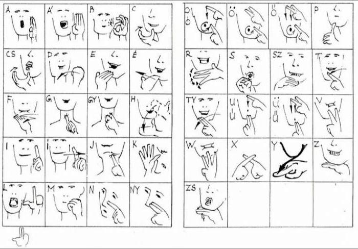выучить язык жестов 