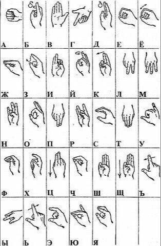 как быстро выучить язык жестов 