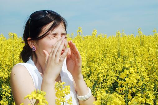 Средство от аллергии на амброзию