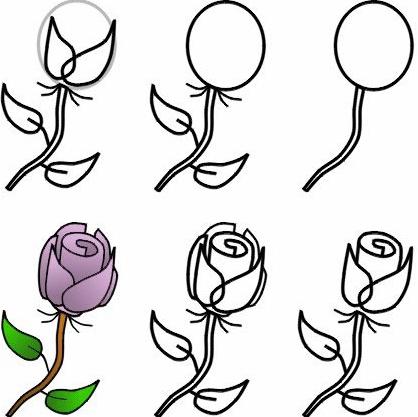 How to draw a bouquet of roses with a pencil