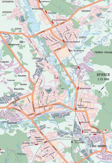 partisan glade bryansk map