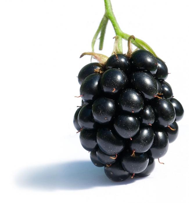 blackberry отзывы