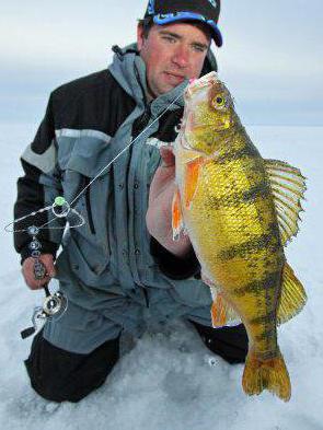 зимняя рыбалка первый лед 