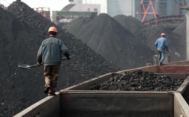 образование и значение каменного угля 