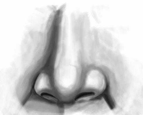 how to draw a nose with a pencil