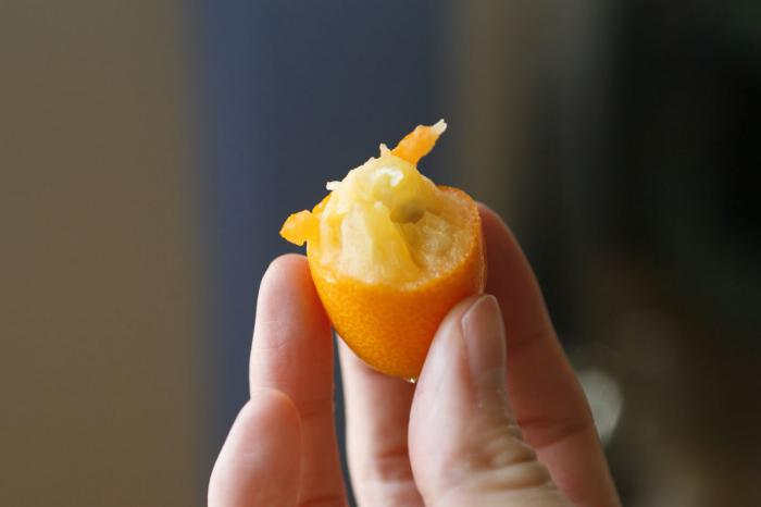 citrus fortunella можно ли есть