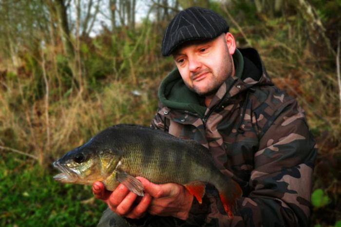 catching perch in spring