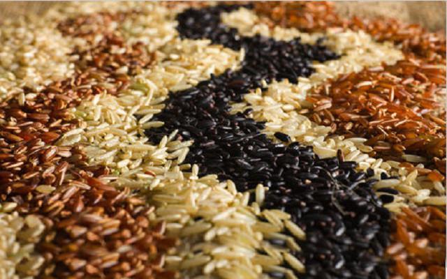 виды обработки риса 