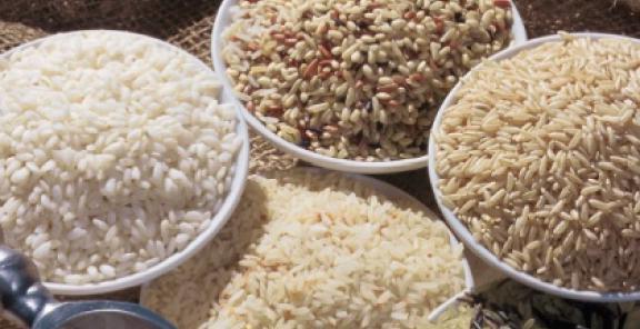 виды риса и их использование в кулинарии 